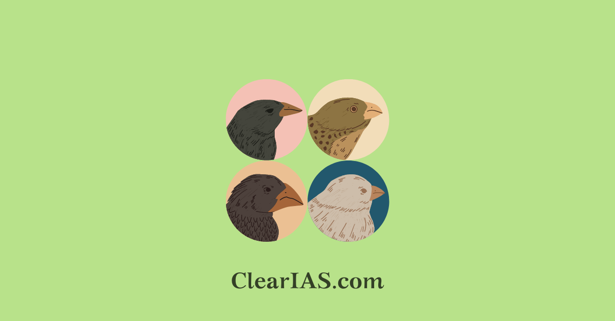 speciation